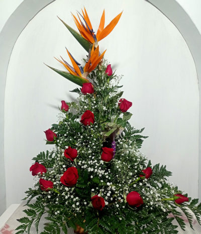 Arreglo Triangular Mediano