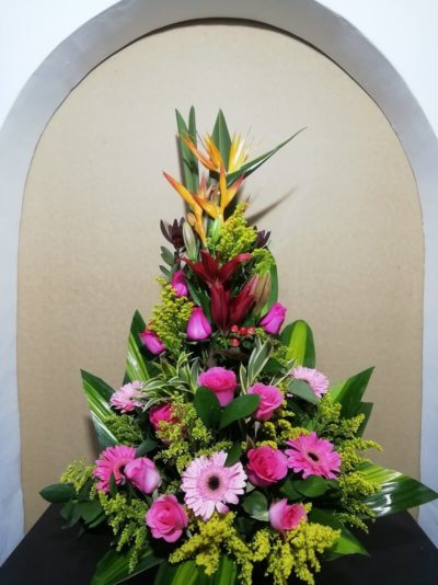 Arreglo Triangular Mediano