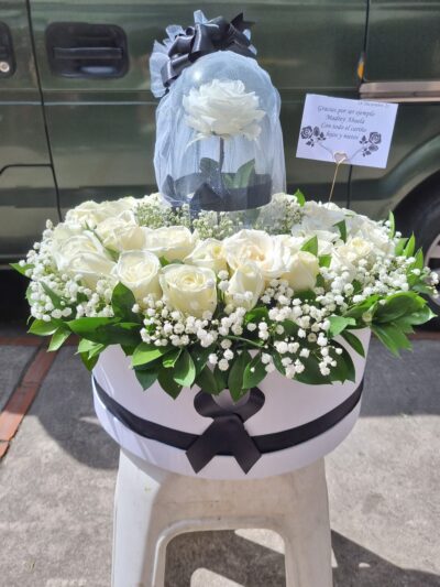 rosa preservada - luto