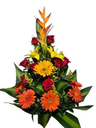 Arreglo clasico AC-03