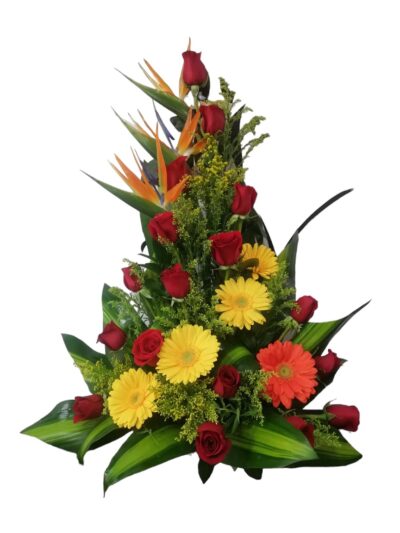 Arreglos clasico AC-06