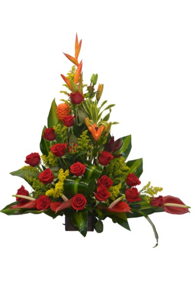 Arreglo clasico AC-02