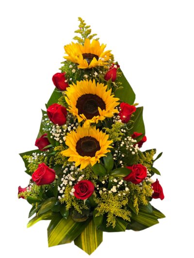 Arreglo Clasico AC-01