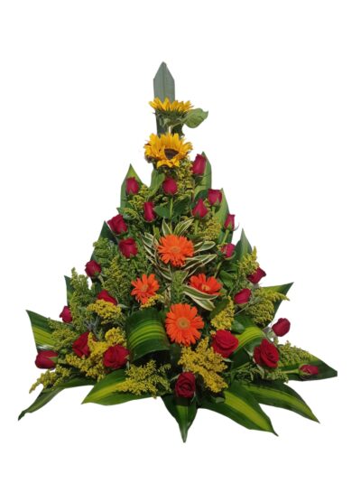 Arreglo Clasico AC-10