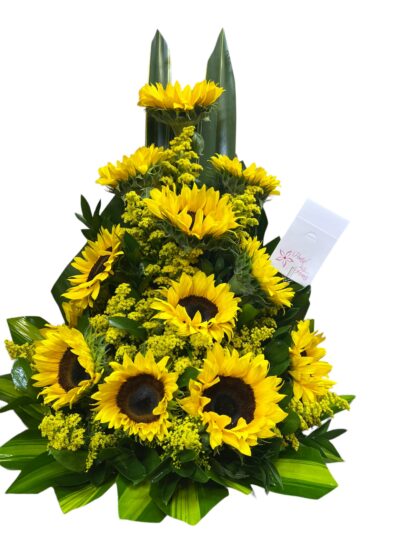 Arreglos Clasicos AC-11