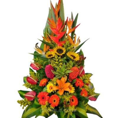 Arreglos Clasico AC-12