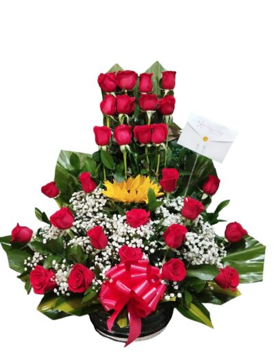 Arreglos Clasicos AC-13