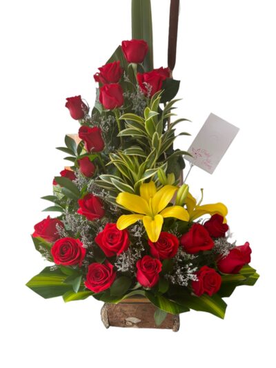 Arreglo Clasico AC-14