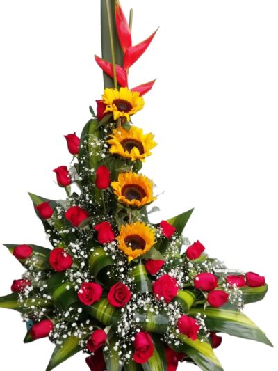 Arreglo Clasico AC-15