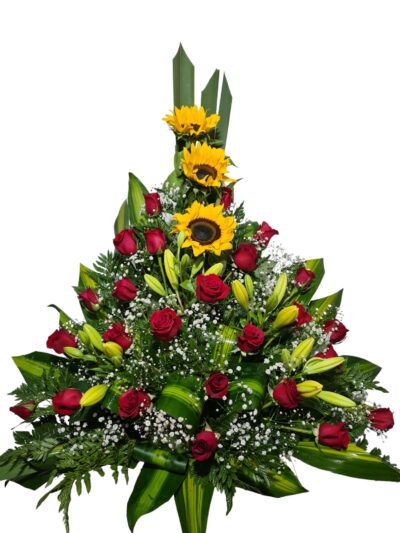 Arreglo Clasico AC-16