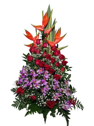 Arreglo Clasico AC-17