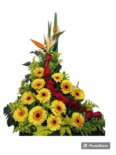 Arreglo Clasico AC-18