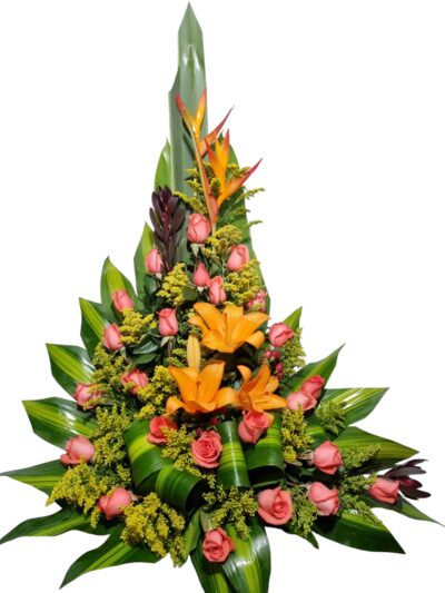 Arreglo Clasico AC-20