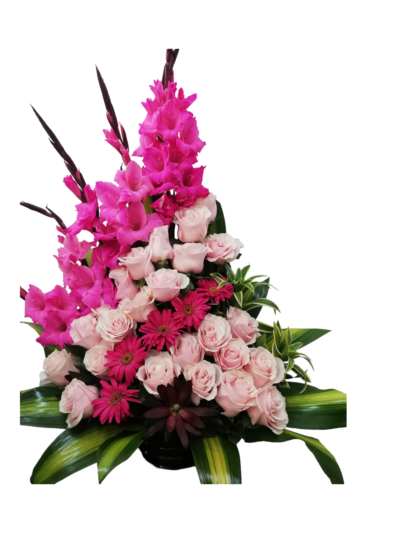 Diseño diagonal Rosado