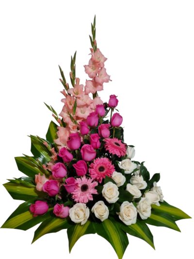 Diseño diagonal Rosado