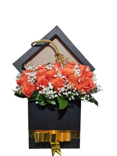 Caja de Grado sembrado